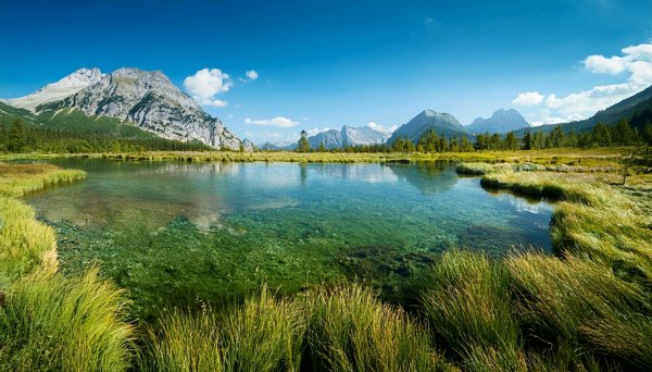 Les nouvelles tendances en matière de voyages gastronomiques